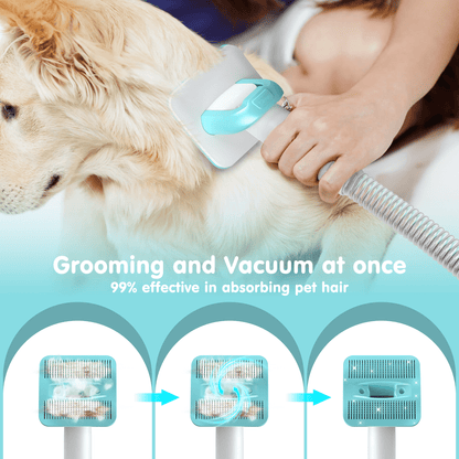Professional 6-In-1 Dog Grooming Vacuum Kit - 11000PA High Suction & 1.5L Large Capacity | 99% Hair Removal with Complete Grooming Tools | High Suction Pet Vacuum for Professional Grooming