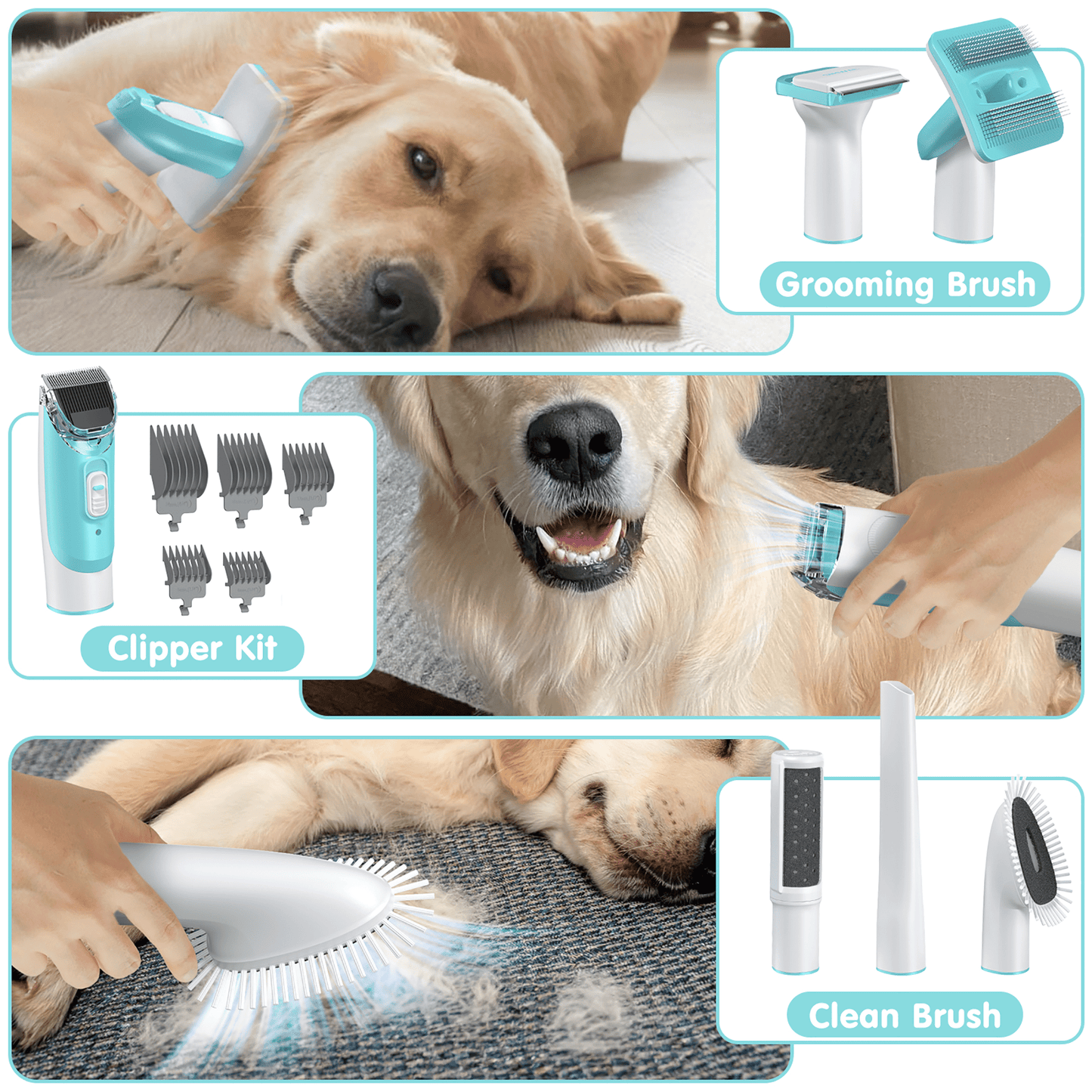 Professional 6-In-1 Dog Grooming Vacuum Kit - 11000PA High Suction & 1.5L Large Capacity | 99% Hair Removal with Complete Grooming Tools | High Suction Pet Vacuum for Professional Grooming